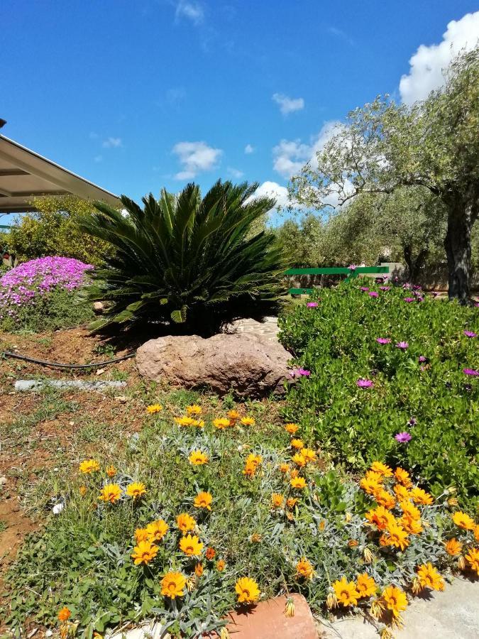 Da Patrizia Bed and Breakfast Αλγκέρο Εξωτερικό φωτογραφία