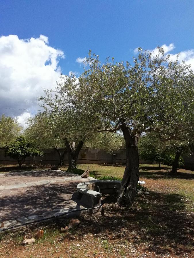 Da Patrizia Bed and Breakfast Αλγκέρο Εξωτερικό φωτογραφία