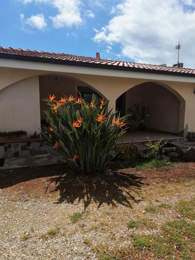 Da Patrizia Bed and Breakfast Αλγκέρο Εξωτερικό φωτογραφία